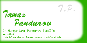 tamas pandurov business card